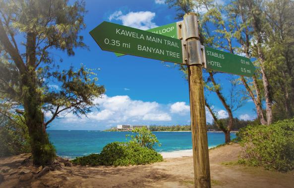 Hawaii Destination Weddings 12