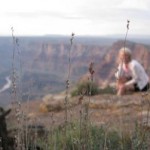 Arizona