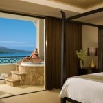 secrets wild orchid