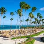 AM Resorts