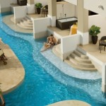 secrets wild orchid