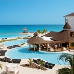 secrets wild orchid