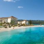 secrets wild orchid