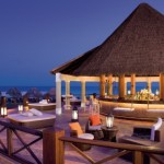 secrets wild orchid