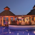 secrets wild orchid