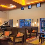 secrets wild orchid