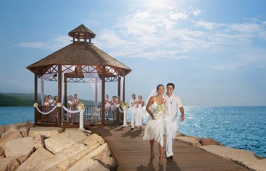 Secrets Wild Orchid