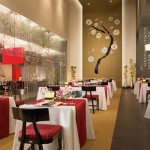 Now Amber Puerto Vallarta Mexico Family Honeymoon