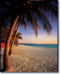 Couples Resorts