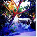 Couples Swept Away Jamaica Honeymoon Romance