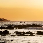 Fairmont Orchid