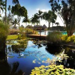 Le Meridien Tahiti Romance Honeymoon Specialist
