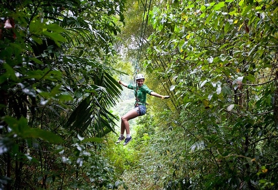 Tours and Excursions