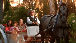 Your Carriage Awaits