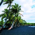 Palm trees on the Black Sand Beach, Hawaiian Islands, Hawaii, USA