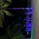 Riu Palace Jamaica Vacation Review 4